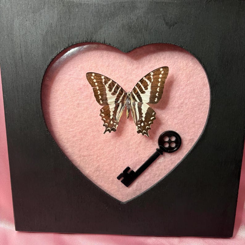 May include: A framed butterfly display. The black frame has a heart-shaped cutout, revealing a pink background. A butterfly with brown and white patterned wings is centered, with a black key-shaped accent below.