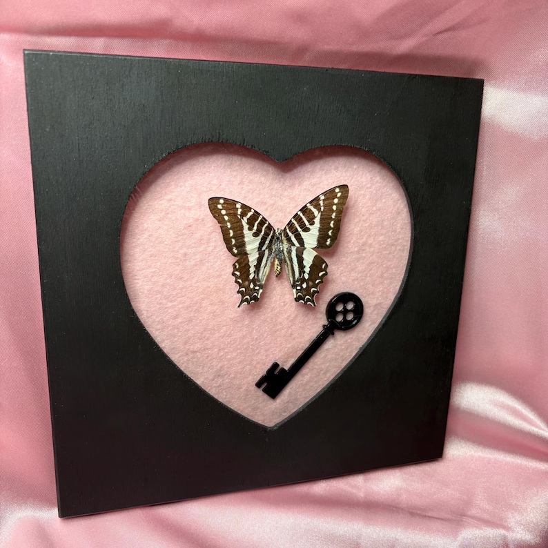 May include: A framed butterfly display. The black frame has a heart-shaped cutout revealing a pink background. A butterfly with brown and white wings is centered, with a black key silhouette below.