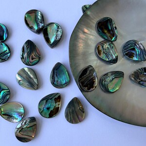 May include: Iridescent abalone shell pieces in various shapes and sizes, scattered on a white surface and a large shell. The shells display a range of colors, including blues, greens, and purples, with a pearlescent sheen.