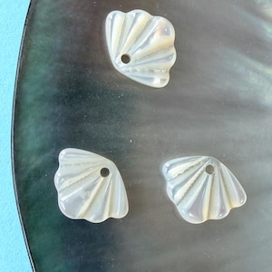 May include: Three iridescent, seashell-shaped beads with a pearlescent sheen. Each bead has a small hole for stringing. The beads are arranged on a dark, reflective surface, suggesting a jewelry-making theme.