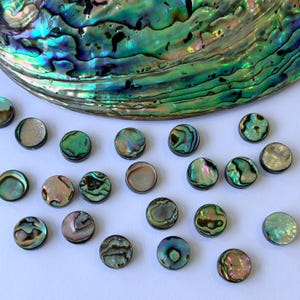 May include: Abalone shell and small, round abalone shell cabochons. The shell displays iridescent colours of green, blue, and purple. The cabochons are also iridescent, with a flat back and a domed top. Ideal for jewellery making.
