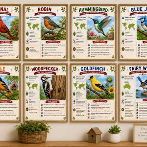 Könnte beinhalten: Ein Set aus acht Lehrpostern mit Illustrationen von Vögeln, darunter ein Kardinal, Rotkehlchen, Kolibri, Blauhäher, Pirol, Specht, Stieglitz und Staffelschwanz. Jedes Poster zeigt eine Karte, Lebensraumdetails, Ernährung, Nistinfos und Fakten.