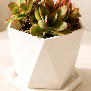 May include: A white geometric planter with a succulent plant. The succulent has green leaves with red edges. The planter is a modern design with a square base and angled sides. The planter is approximately 5 inches wide and 5 inches tall.