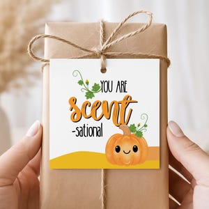 You Are Sensational Tag, Fall Gift Tag, Potpourri Candle Tag, Autumn Thank You Tag, Teacher Appreciation Gift, Thanksgiving Tag Printable
