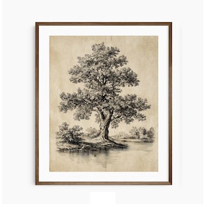 May include: A framed black and white vintage print of a large tree on the edge of a body of water. The artwork has a sepia-toned background and a brown wooden frame. The tree's detailed foliage and the water's reflection are visible.
