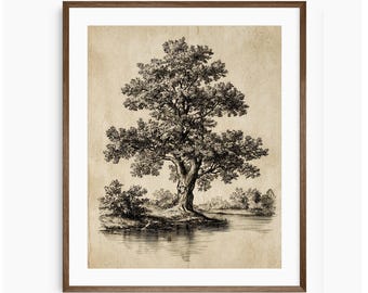Vintage Tree Digital Art, Tree Sketch Art, Botanical Nature Print, Elegant Home Decor, Neutral Wall Art, Oak Tree Etching, Digital Download