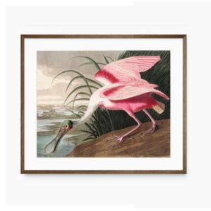 Pink Wall Art Printable Wall Art | Bird Painting | Vintage Art Print | Bird Print | Pink Bird Print | Beach House Decor | Digital Download