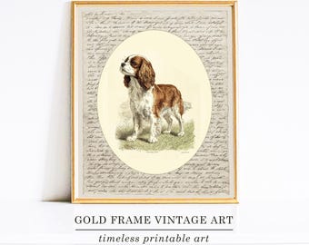 Dog Art Print, Dog Wall Art, Dog Art Printable, Cavalier King Charles Spaniel, Dog Breed Illustration Poster, Antique Retro Vintage Dog Art
