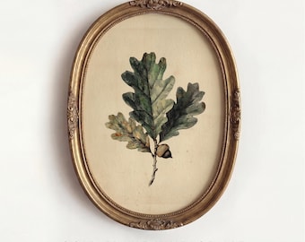 Vintage Acorn Wall Art, Oak Leaf Print, Botanical Nature Art, Wall Art, Acorn Illustration, Home Decor, Digital Download