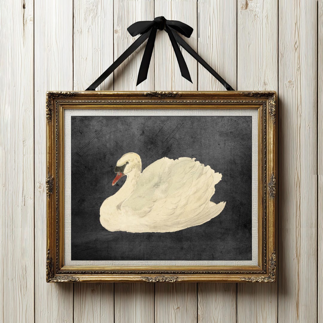 Black Swan Art Print Vintage Bird Swans Wall Art Vintage Artwork