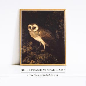 Impresión de búho melancólico, arte de pájaro, pintura al óleo, decoración del hogar, impresiones de pájaros vintage, arte de búho, obra de arte neutra, obra de arte de búho retro, decoración de búho antiguo para el hogar