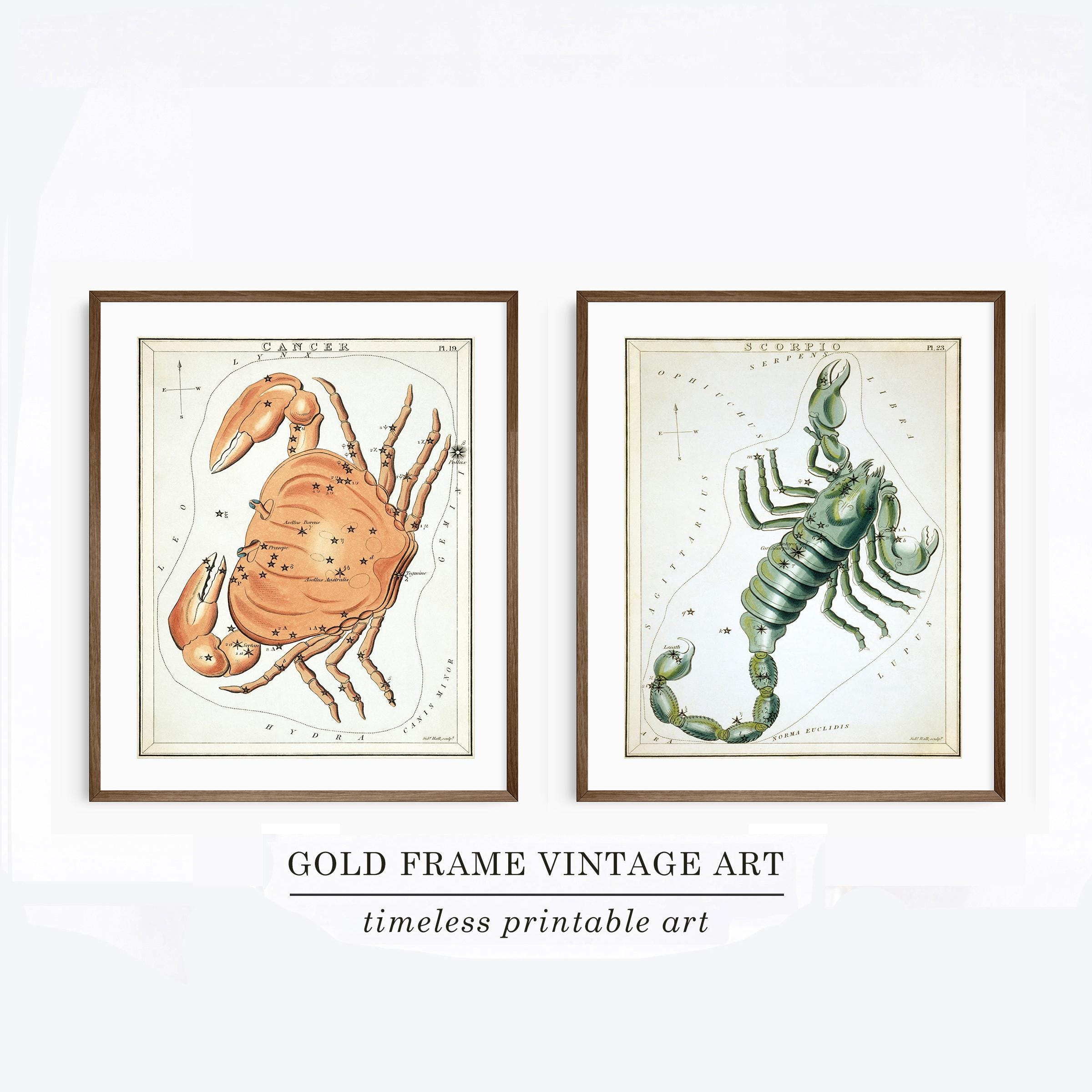 Zodiac Wall Art Set of 2 Wall Art Prints Minimalist Wall Decor