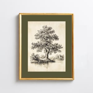 Peut inclure: Une impression encadrée en noir et blanc d'un grand arbre sur une petite île au bord de l'eau. L'œuvre est dans un cadre doré avec un passe-partout vert. L'impression a une esthétique vintage.