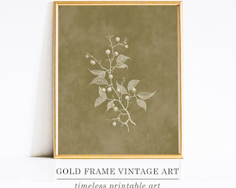 Olive Green Botanical Print, French Country Wall Art, Cottagecore Home Decor, Farmhouse Wall Decor, Digital Download