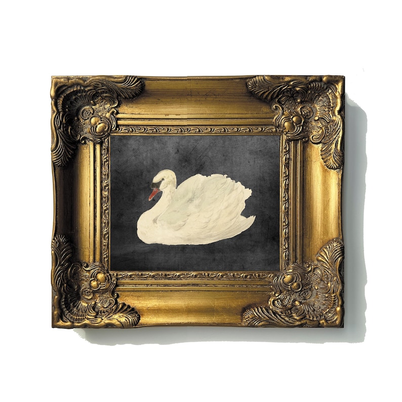Framed Print, Swan Wall Art, Ornate Gold Picture Frame White Swan Black Swan Giclee Canvas Art Painting Artful Swan Decor Decorative Vintage image 1