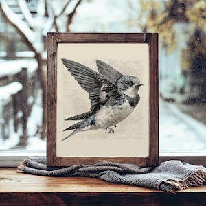 Vintage fågelskiss, antik svalaillustration, rustikt svalakonsttryck, fågel i flykt, fransk lantlig bondgårdsinredning, nedladdning
