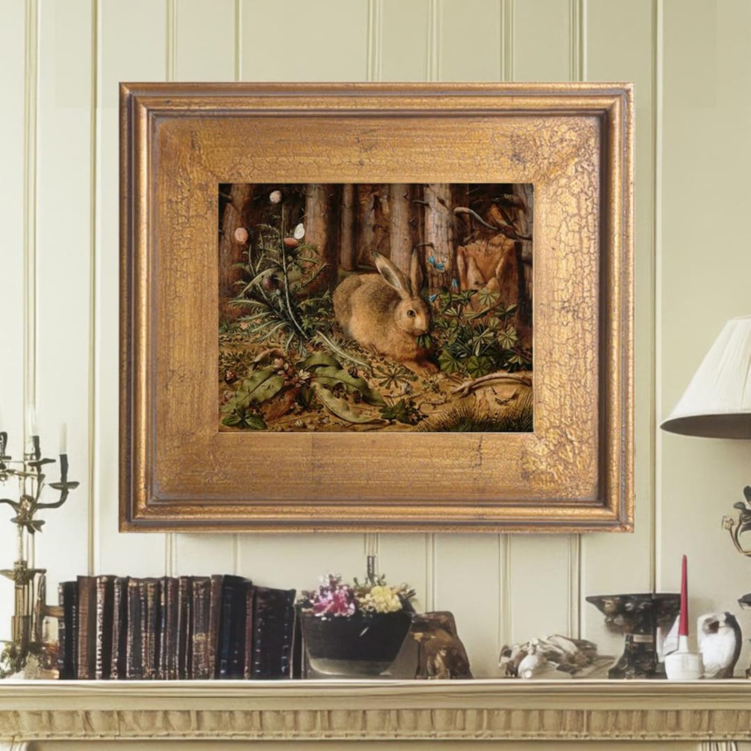 Vintage Rabbit Print Rabbit Art Print Rabbit Wall Art Framed Canvas ...