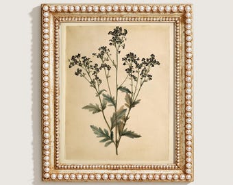 Vintage Print, Botanical Wildflower Wall Art, Antique Watercolor Stem Printable, Cream Nursery Digital Download, Minimalist Farmhouse Poster