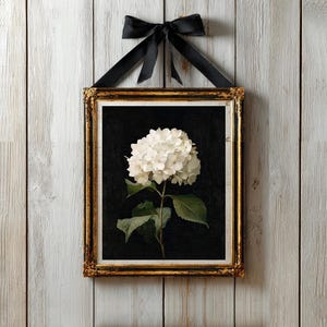 Moody Hydrangea Flower Print Fall Painting Winter Floral Home Decor French Country Farmhouse Botanical Printable Wall Art White Flower