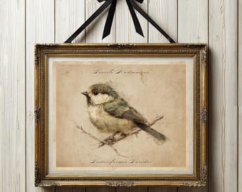 Könnte beinhalten: Ein gerahmter Aquarelldruck eines kleinen Vogels, der auf einem Ast sitzt. Der Vogel hat graue, grüne und beige Federn. Der verzierte goldene Rahmen wird von einem schwarzen Band gehalten, das zu einer Schleife gebunden ist. Der Druck hat Text oben und unten.
