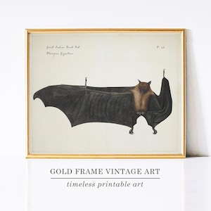 Halloween Bat Wall Art Print for Gallery Wall Black Bats Home Decor Retro Autumn Antique Vintage Dark Academia Gothic Artwork Bat Poster