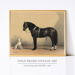 Vintage Horse Print Dog Wall Art Vintage Equestrian Wall Decor Horse Picture Horse Painting Retro Farmhouse Decor Antique Farm House Decor