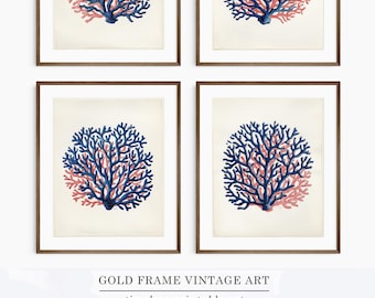 Coastal Wall Art Coral Minimalist Wall Decor Beige Red Blue Home Decor Contemporary Beach House Art Set of 4 Sea Life Corals Prints