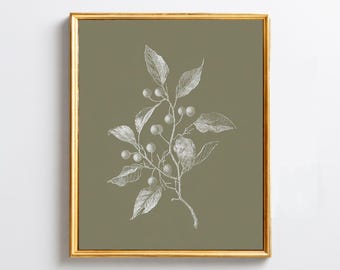 Olive Green Botanical Print, French Country Wall Art, Cottagecore Home Decor, Farmhouse Wall Decor, Neutral Nature Print, Digital Download