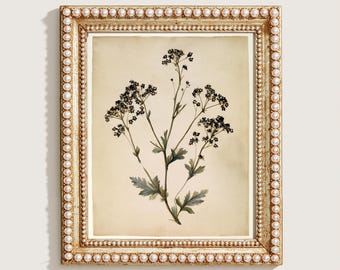 Vintage Print, Botanical Wildflower Wall Art, Antique Watercolor Stem Printable, Cream Nursery Digital Download, Minimalist Farmhouse Poster