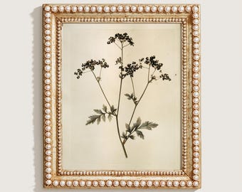 Vintage Print, Botanical Wildflower Wall Art, Antique Watercolor Stem Printable, Cream Nursery Digital Download, Minimalist Farmhouse Poster