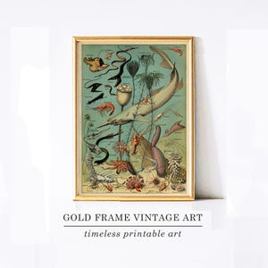 Fish Prints Fish Art Printable Beach House Artwork Antique Sealife Illustration Aquatic Home Decor Printable Ocean Marine Life Wall Art 5x7