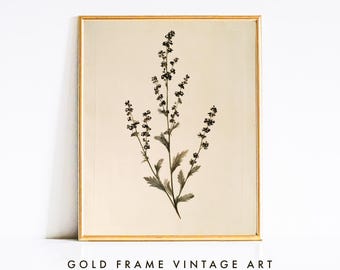 Delicate Wildflower Stem with Dark Petals - Moody Botanical Print, Vintage Herbarium Art, Cottagecore Wall Decor, Printable Digital Download