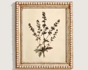 Vintage Print, Botanical Wildflower Wall Art, Antique Watercolor Stem Printable, Cream Nursery Digital Download, Minimalist Farmhouse Poster