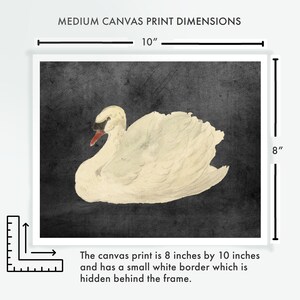 Framed Print, Swan Wall Art, Ornate Gold Picture Frame White Swan Black Swan Giclee Canvas Art Painting Artful Swan Decor Decorative Vintage image 4