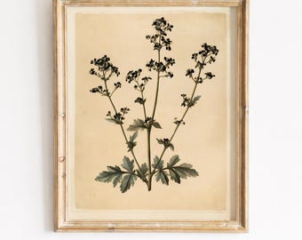 Vintage Print, Botanical Wildflower Wall Art, Antique Watercolor Stem Printable, Cream Nursery Digital Download, Minimalist Farmhouse Poster