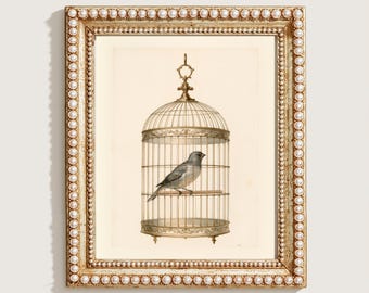 Songbird in Gilded Cage Watercolor, Vintage Botanical Art, French Country Wall Decor, Elegant Bird Painting, Digital Download