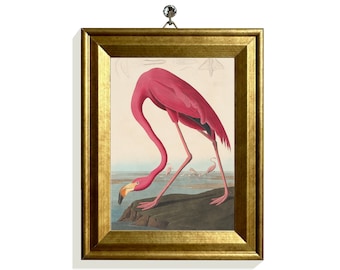 Mini Print Bird Illustration Mini Framed Canvas Prints Pink Flamingo Wall Decor Vintage Florida Bird Print Tropical Bird Art Gold Frame