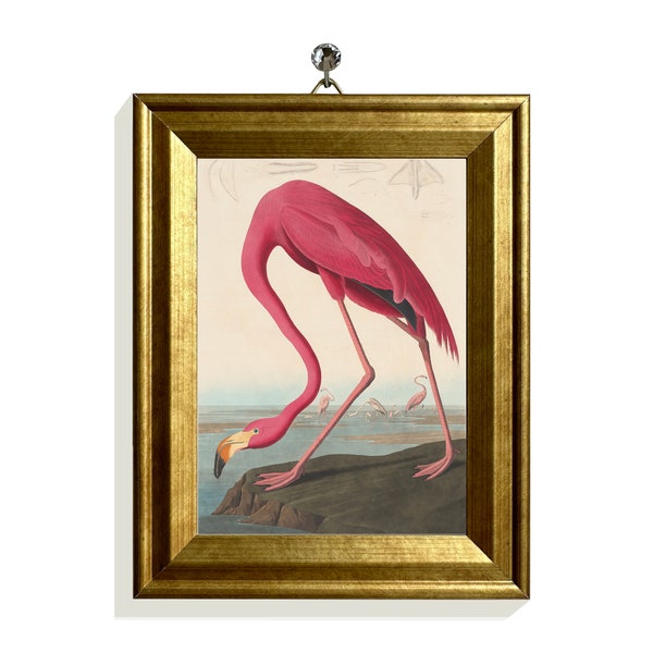 Mini Print Bird Illustration Mini Framed Canvas Prints Pink Flamingo Wall Decor Vintage Florida Bird Print Tropical Bird Art Gold Frame