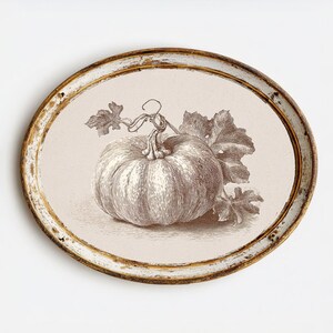 Puede incluir: Bandeja decorativa ovalada con una ilustración de calabaza en tonos sepia. La calabaza está detallada con hojas y zarcillos. La bandeja tiene un borde blanco y dorado envejecido, creando una estética vintage. Una pieza encantadora para la decoración otoñal.