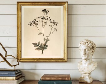 Vintage Print, Botanical Wildflower Wall Art, Antique Watercolor Stem Printable, Cream Nursery Digital Download, Minimalist Farmhouse Poster
