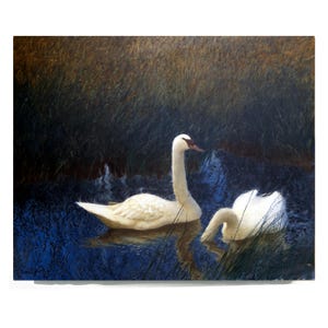 Swan Art Print Prints Swans Vintage Wall Art Portrait Giclee Print Room Decor Home Decor Paper or Canvas Print
