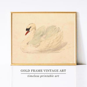 Swan Wall Art Print, Printable Wall Art, Swan Artwork, Swan Sketch, Swan Watercolor Painting, Bird Print, Home Decor, Digital Download