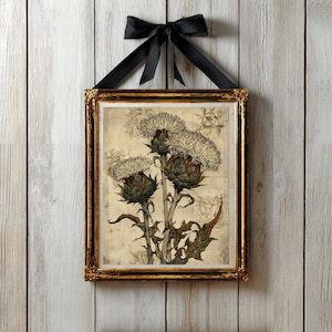 Può includere: Un'opera d'arte murale rettangolare che presenta un'illustrazione botanica di tre fiori di cardo in tonalità tenui di verde, marrone e crema. L'opera è racchiusa in una cornice ornata oro e nera e appesa a un fiocco di nastro in raso nero.