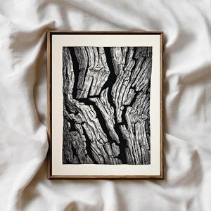 May include: A framed black and white print featuring a detailed illustration of tree bark. The artwork showcases the texture and patterns of the bark, with deep crevices and varying shades of gray and black. The print is set in a simple wooden frame.
