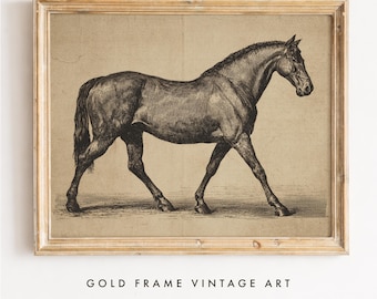 Rustic Horse Engraving Print, Vintage Full Profile Animal Art, Farmhouse Wall Decor, Neutral Sepia Tones, Printable Digital Download
