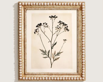 Vintage Print, Botanical Wildflower Wall Art, Antique Watercolor Stem Printable, Cream Nursery Digital Download, Minimalist Farmhouse Poster
