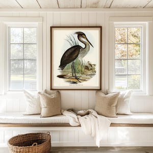 Heron Bird Art Home Decor Wall Art Printable Wall Art Bird Illustration Antique Bird Art Coastal Bird Print Sea Bird Decor Large Bird Poster