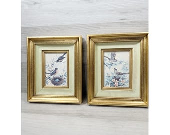 Par de láminas enmarcadas de pájaros cantores: petirrojo y cuitlacoche, con marco dorado de 25 cm. Arte de pared.