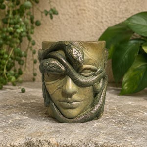 Medusa Planter - Etsy