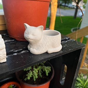 May include: A small, off-white ceramic planter shaped like a resting cat with its eyes closed. The cat figure features textured fur details and a hollow opening on its back for small plants. The surface is matte and unglazed, showing a neutral tone.